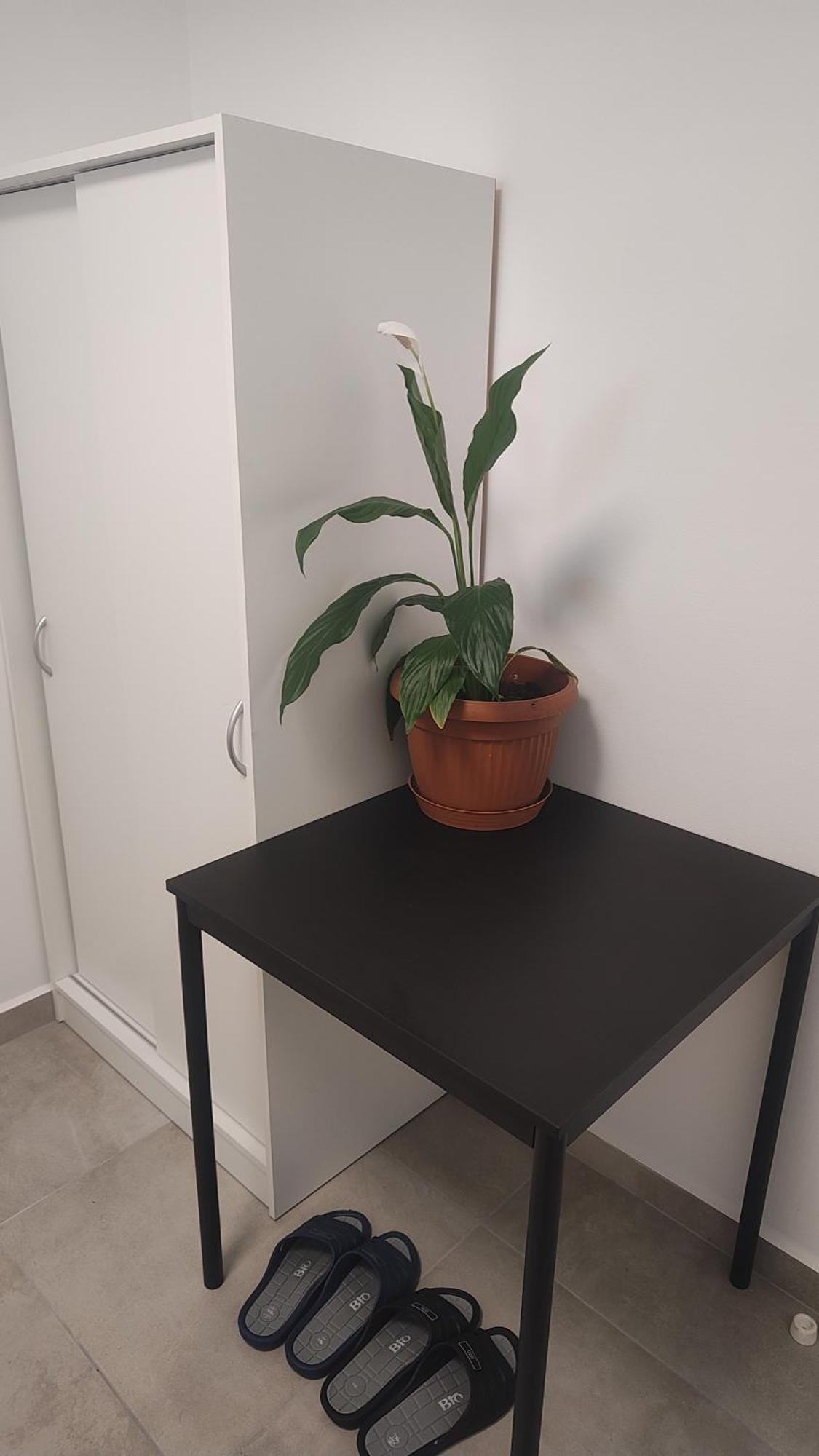Apartment Vu's Prag